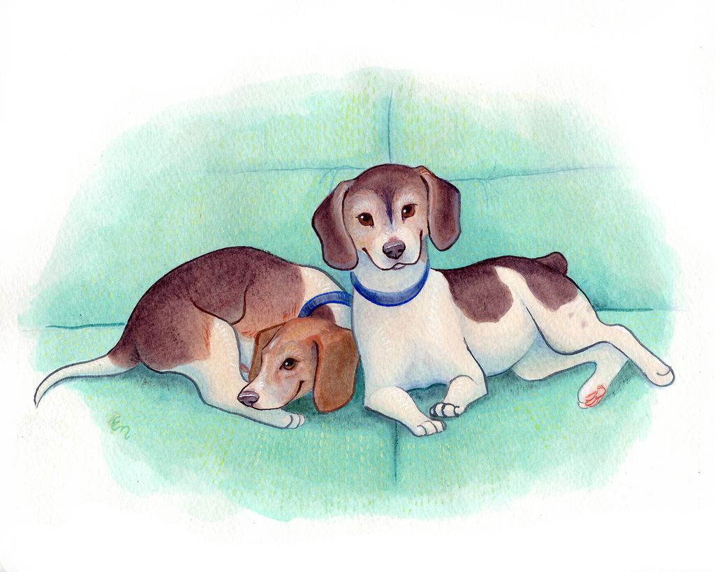 Custom pet portrait