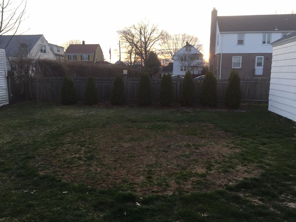 Planting job from 2014. This picture was taking ov