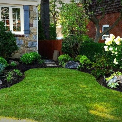 Install New Plants and Custom Cut-Edged Beds