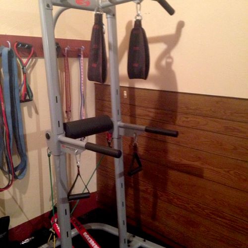 Power Tower with ab straps and row handles!