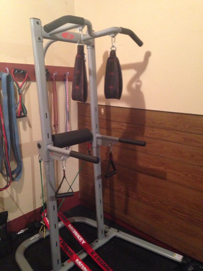 Power Tower with ab straps and row handles!