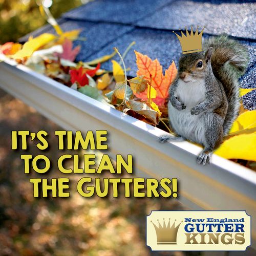 Gutter Cleaning Service