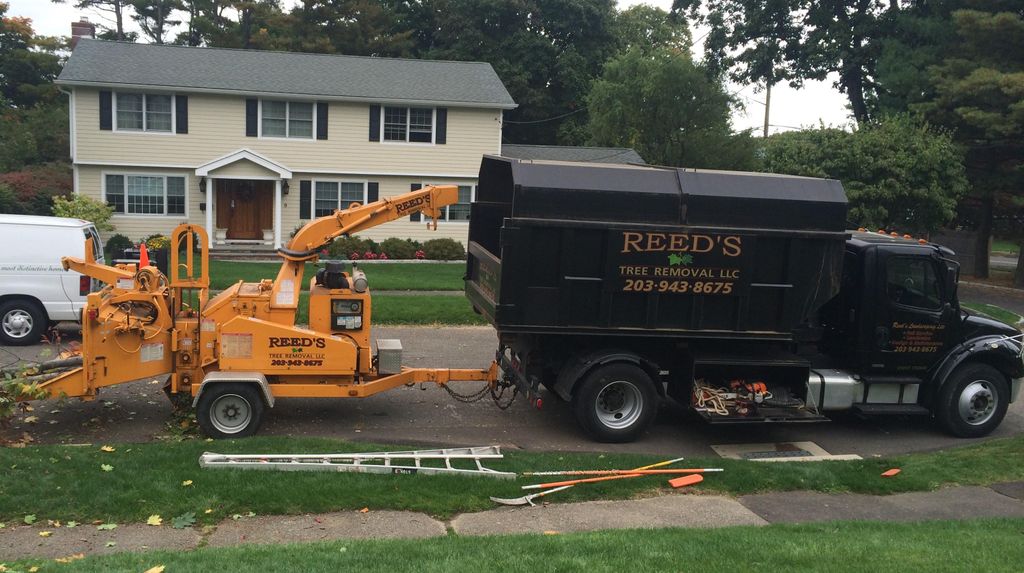 Reed's Tree Removal..