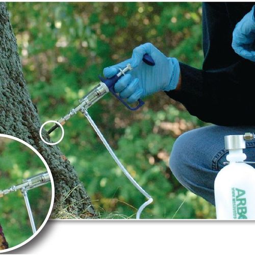 Abrojet Tree injection for whitefly and all tree e