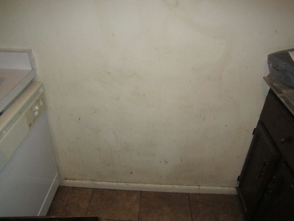 This is the kitchen wall "before" picture.
