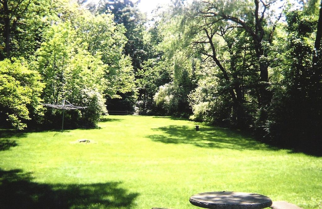 Lawn that I maintain.
