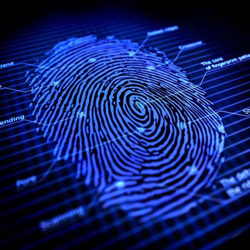 Mobile fingerprinting services