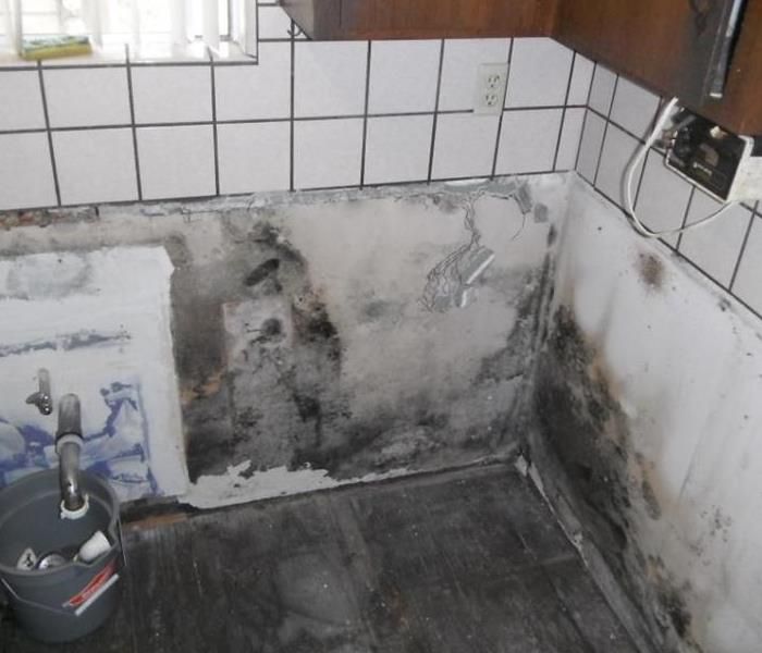 Mold can hide behind places where you don't usuall