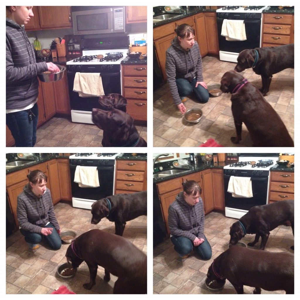 Feeding - Learning how to eat calmly together.
