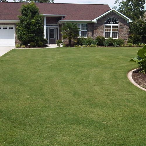Another Yard of the Month winner July 2015.