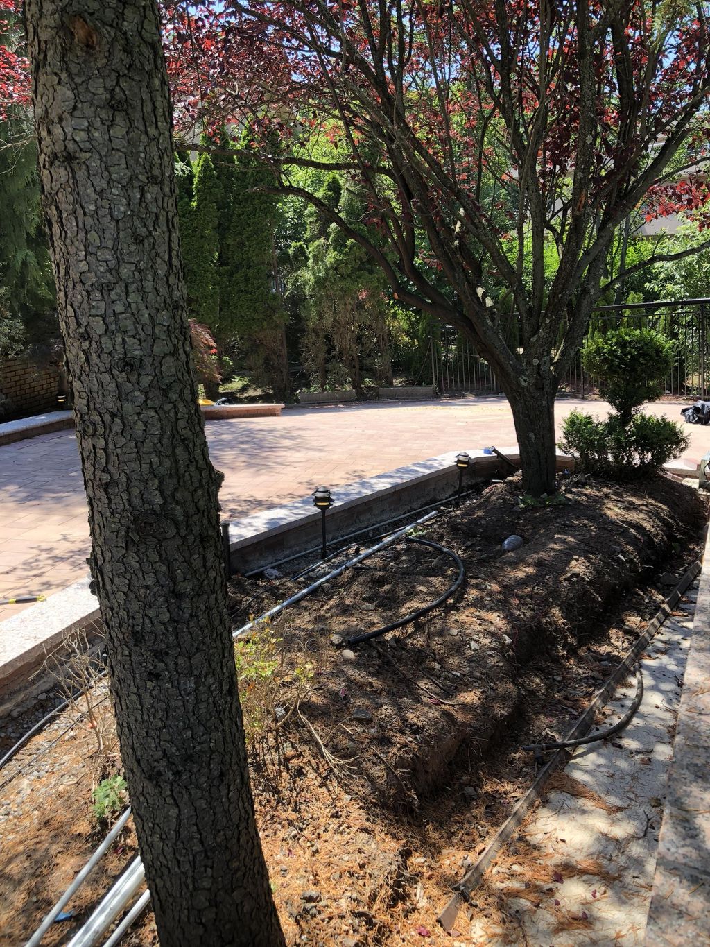 Landscape lighting designed by SWT