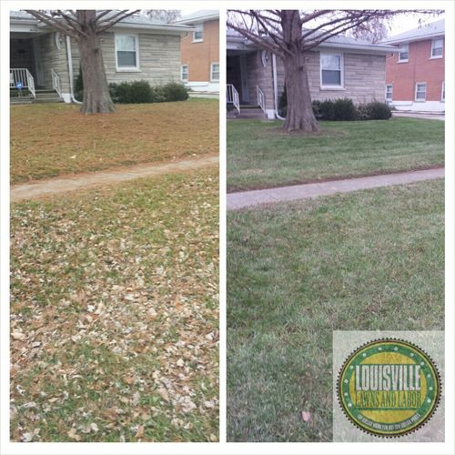 Leaf removal even in the dead of winter. Affordabl