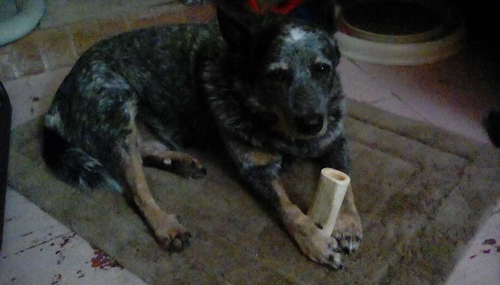 Minerva chilling