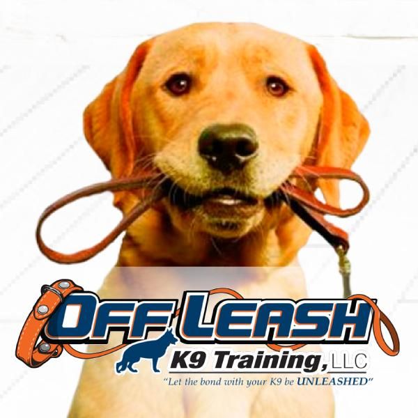 Off Leash K9 Training, Charlottesville