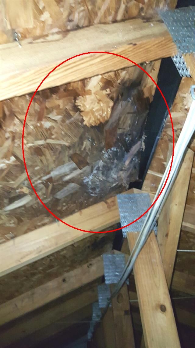 Attic moisture damage