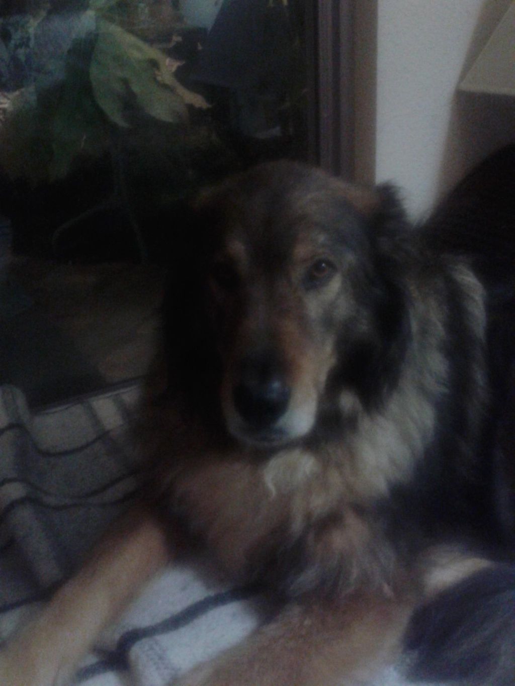 Kaci