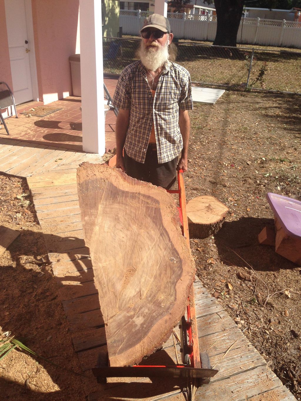 Pie Cut from grand oak stump