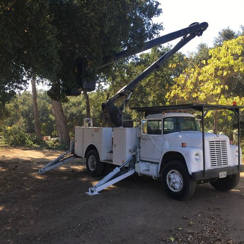 65 foot dual bucket truck for tree removal and tre