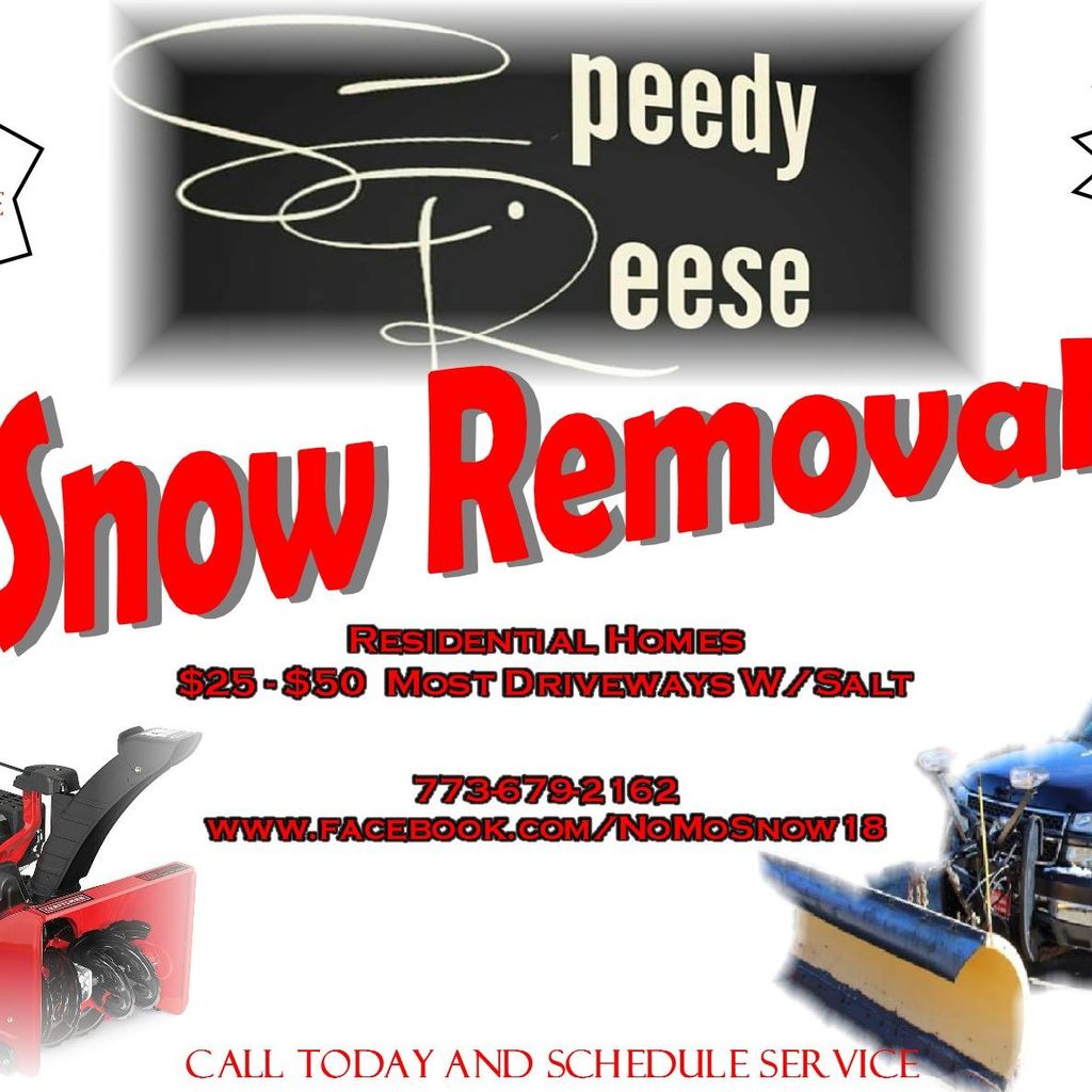 Speedy Reese Snow Removal