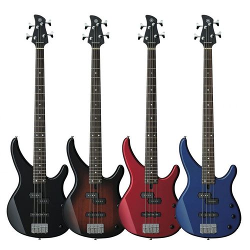 Electric Bass Lessons