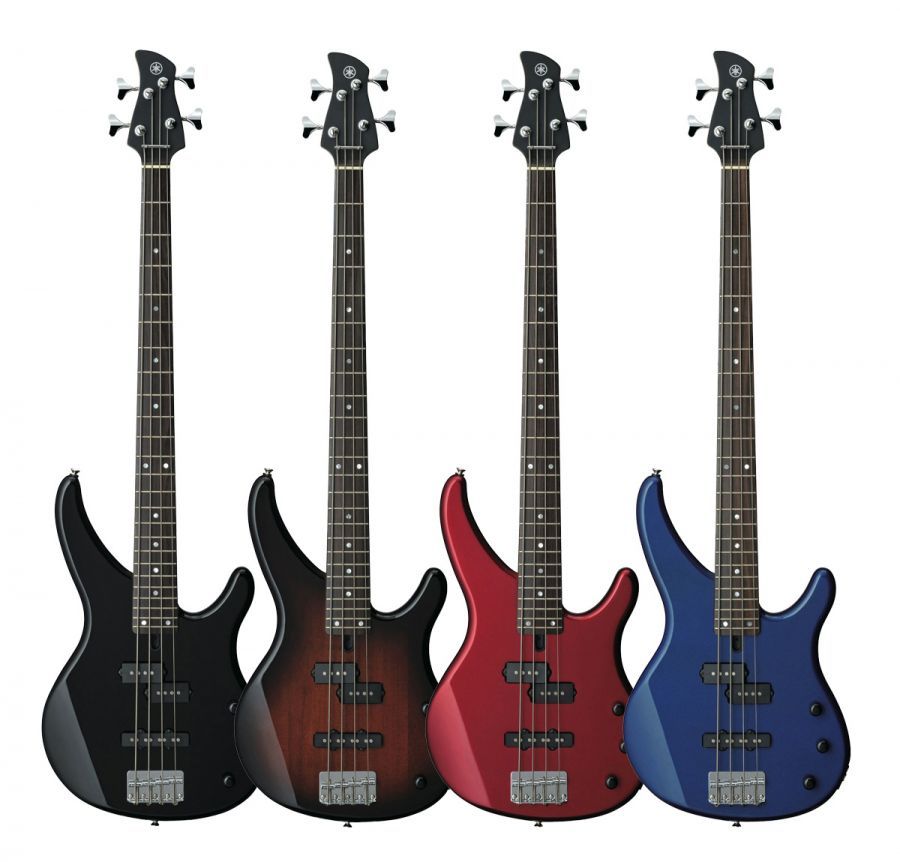 Electric Bass Lessons