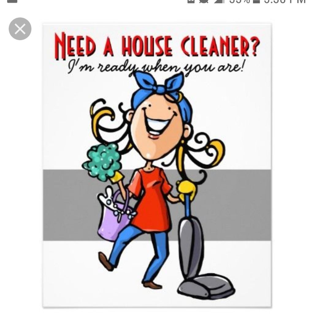 Viri's Residential Cleaner