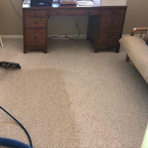 During carpet cleaning 
