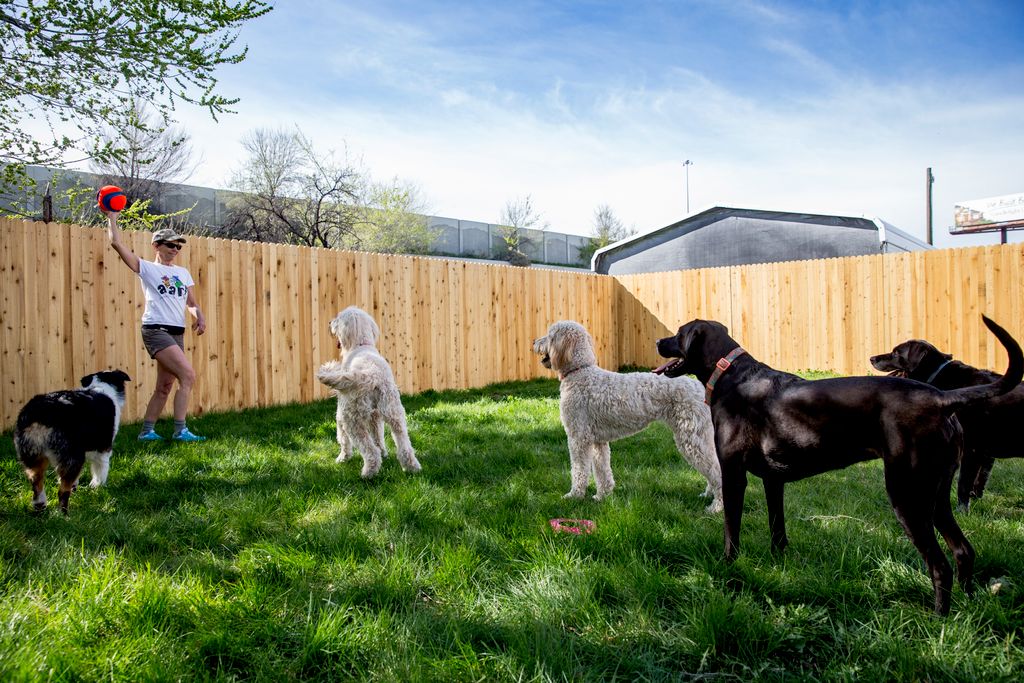 Playtime at the Aarf House!