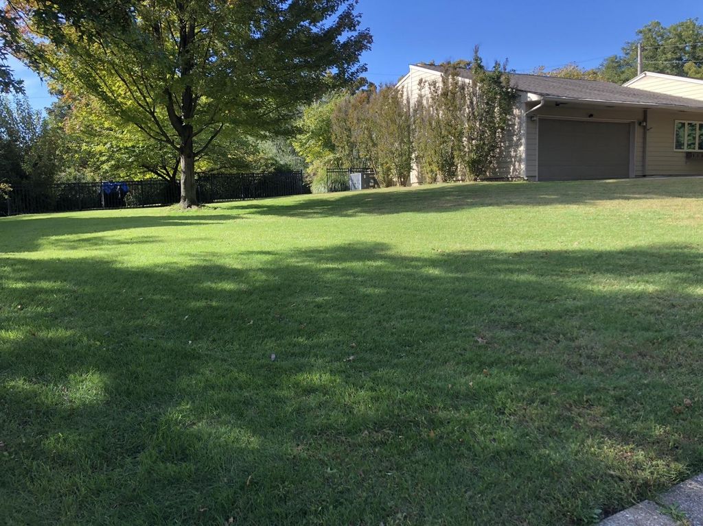 After leaf clean up