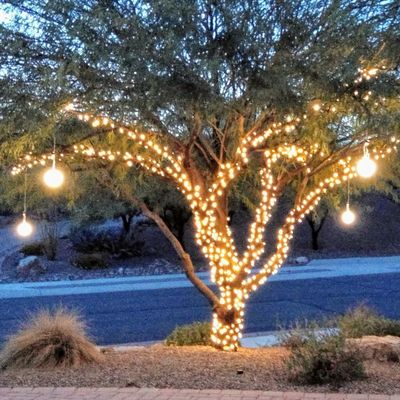 The 10 Best Holiday Light Installers In Scottsdale Az 2020