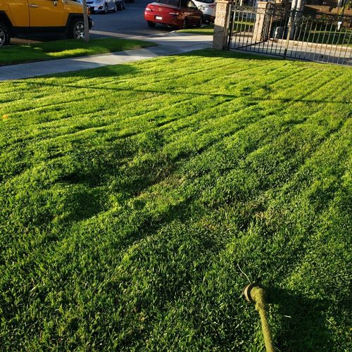 Saved a summer lawn for fall & winter season 