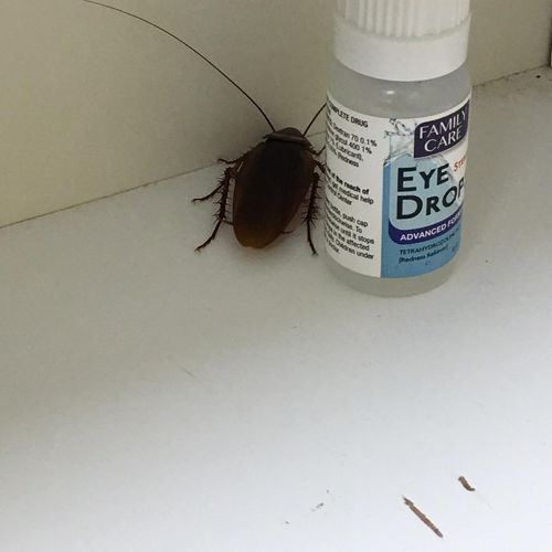 This was in someone’s medicine cabinet 