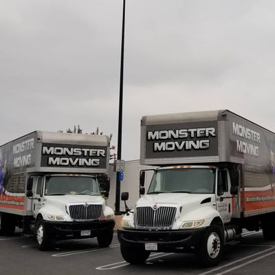 Avatar for Monster Moving and Storage