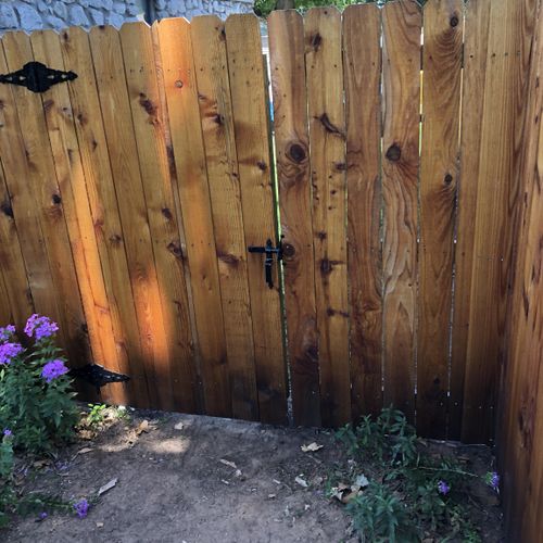 Fence stain project. 