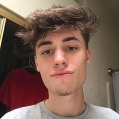 pro avatar