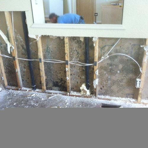 More mold pictures in Palm Desert CA