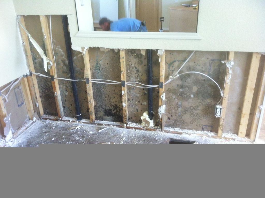 More mold pictures in Palm Desert CA