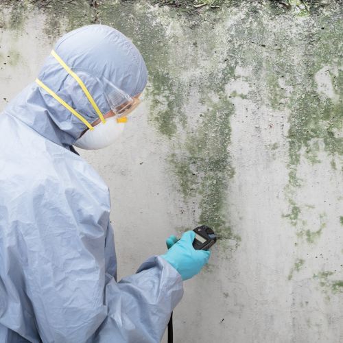 Mold Removal New Orleans by MIDO Restoration Servi