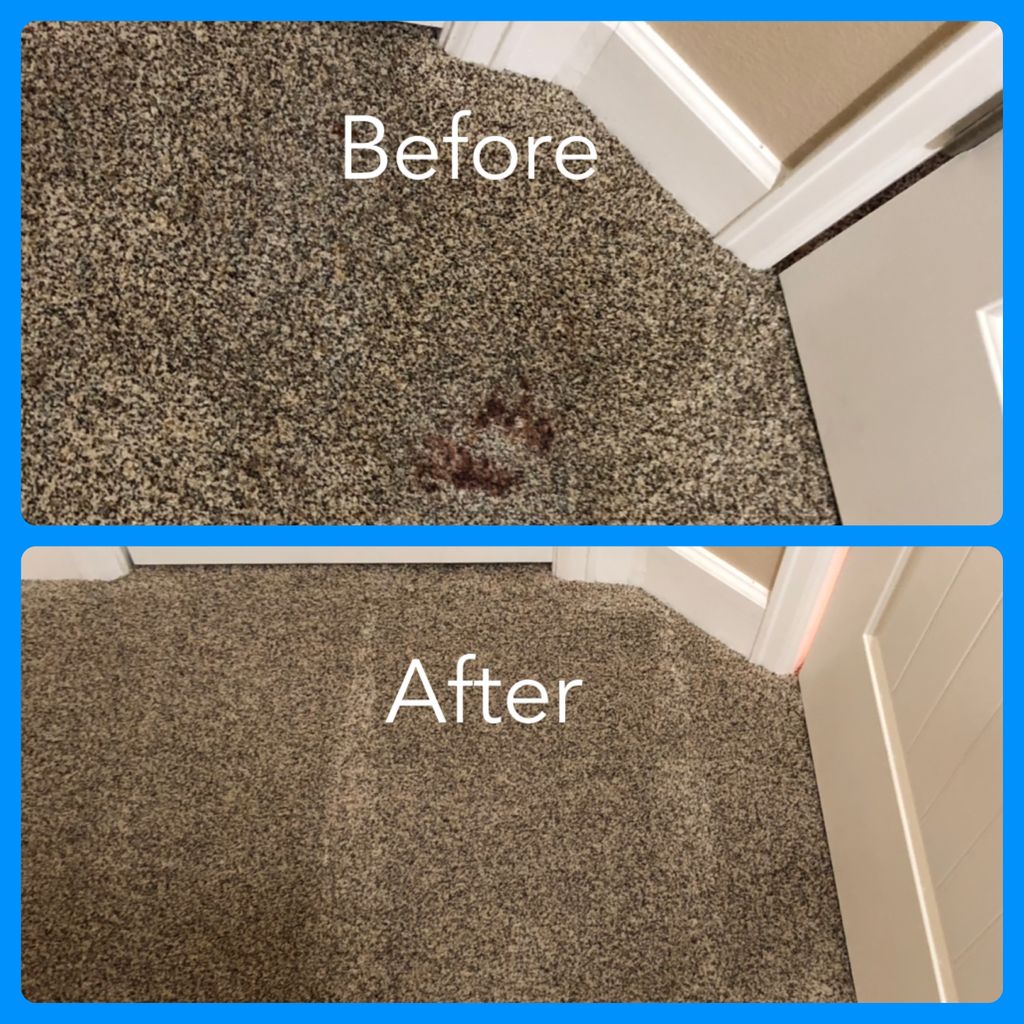 Removal of BBQ sauce