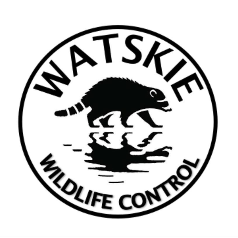 Watskie Wildlife Control