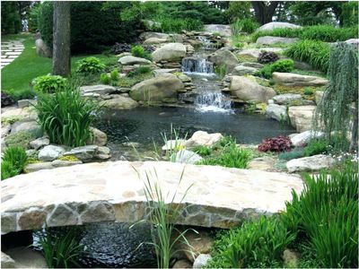 Avatar for Portland Pond Pros