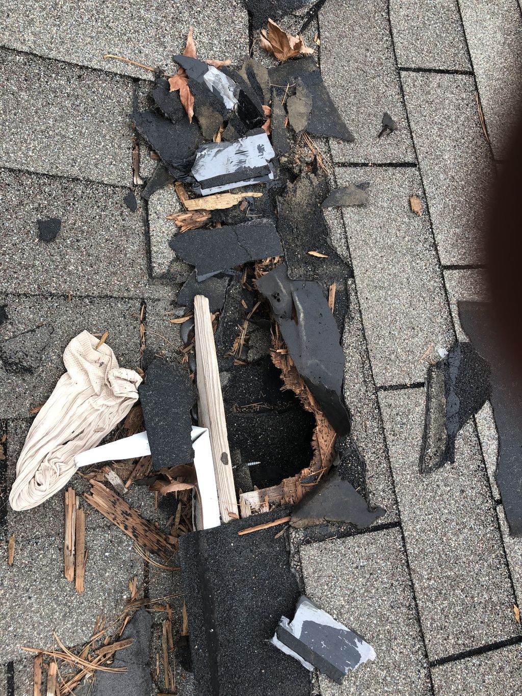 Raccoon damage to roof