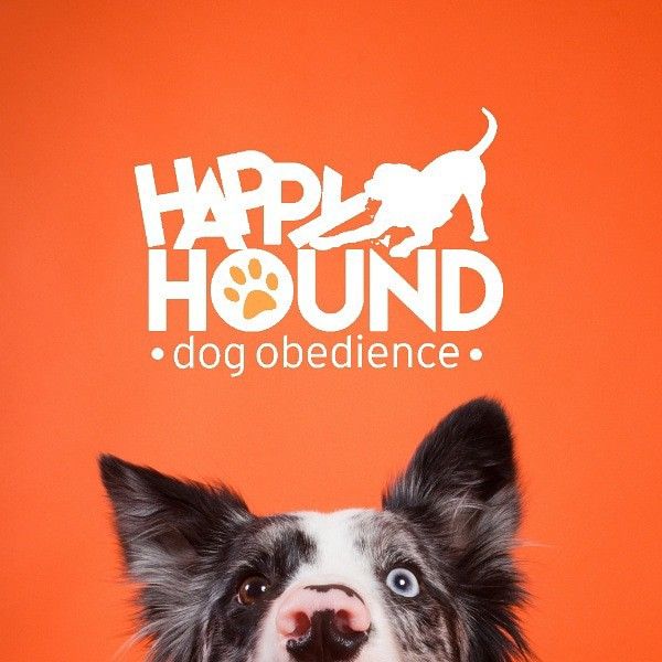 Happy Hound Dog Obedience