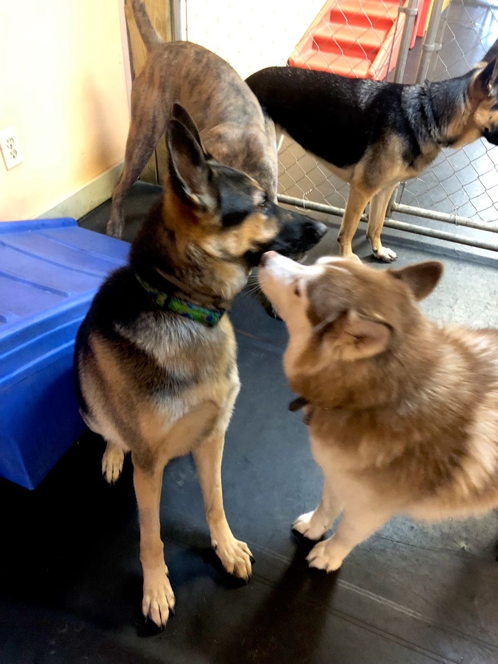 Kisses at daycare!