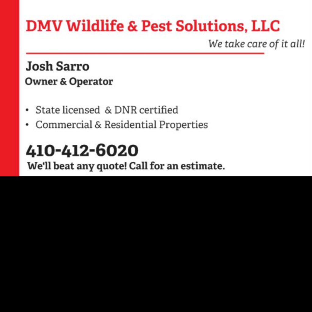 DMV WILDLIFE & PEST Solutions