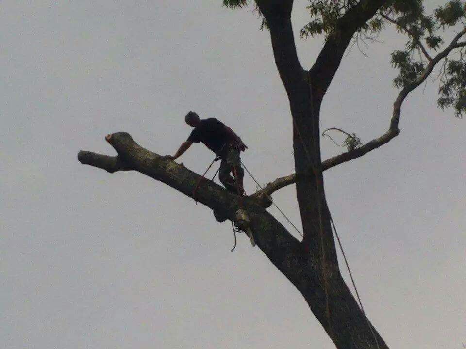 Friend of mine. Old and wise!😄