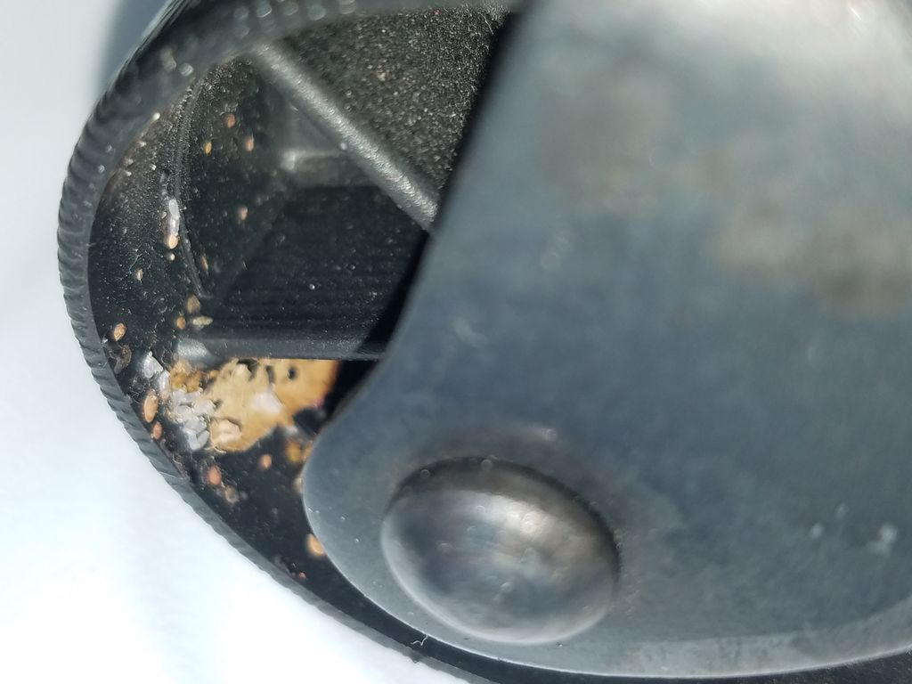 Bed bug evidence found by K9