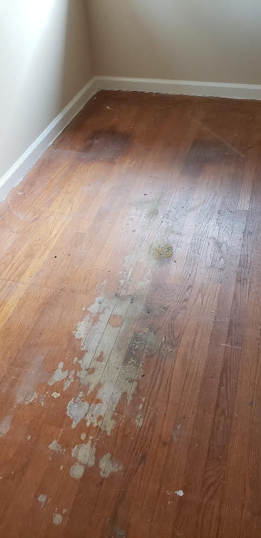 Nancy P Before 5/16 red oak
