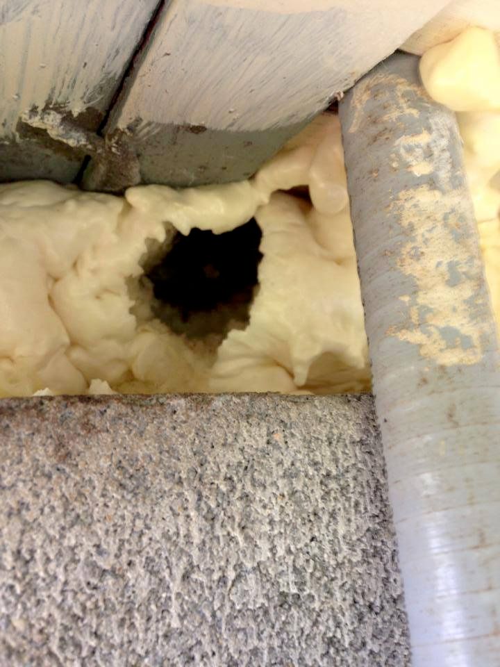 rat entrance through hole repaired by other compan
