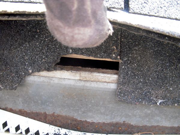 rodent entrance